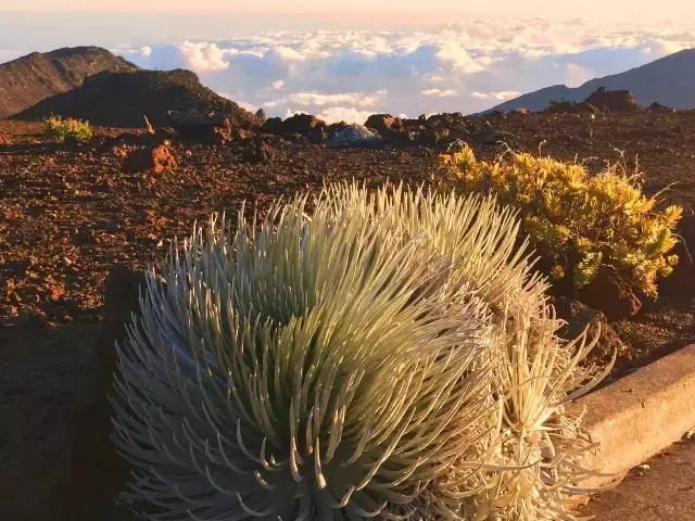 毛伊岛游记,毛伊岛太阳之屋