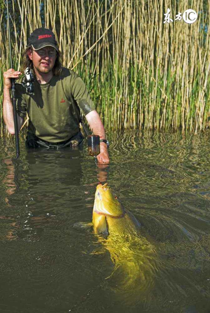 鱼塘鱼不开口是什么原因,现在钓鱼鱼不开口什么原因