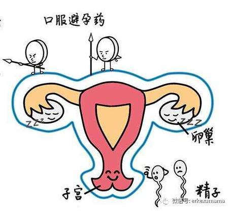 哺乳期怎么避孕最靠谱,哺乳期避孕最好的办法