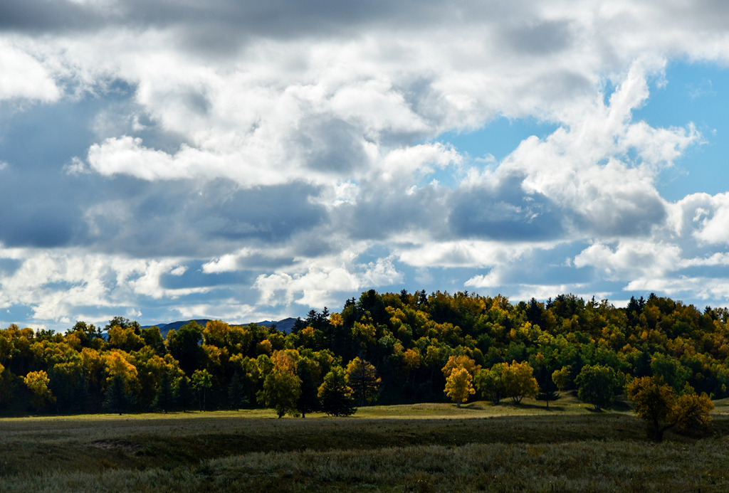 走起路来看风景,走起看风景