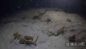 爆笑动态图：大自然，最杰出的艺术家！（第3182期）