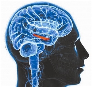 运动是激活孩子大脑最好的方法,聪明孩子锻炼大脑的方法