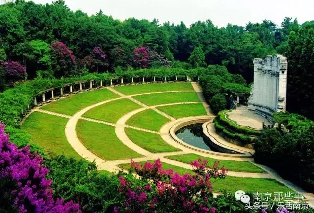 南京梅花赏花游记,好玩的摘草莓胜地打卡