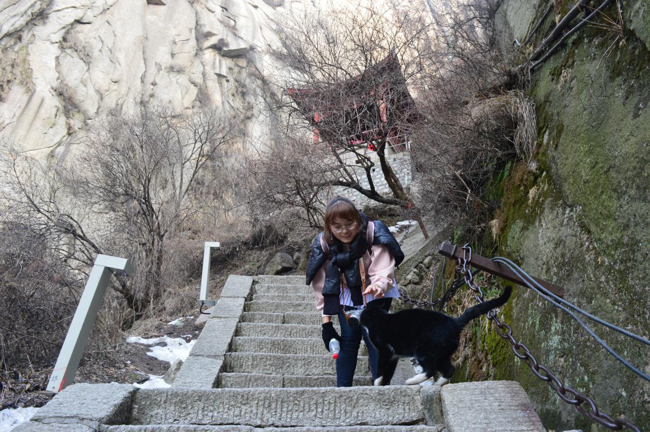 素人爬华山攻略,夜爬华山最实用攻略