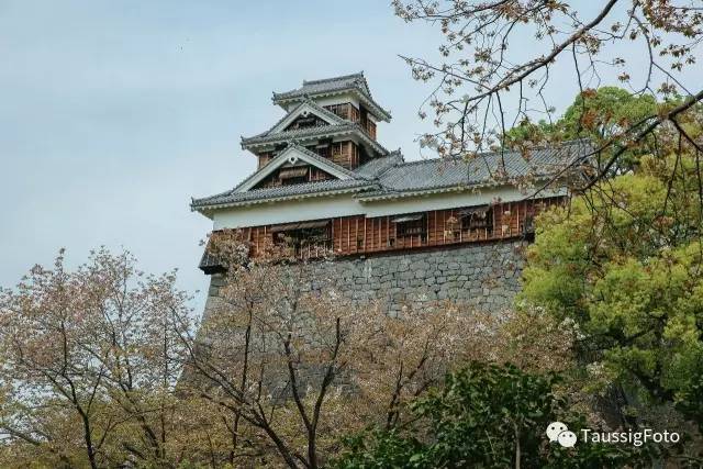 日本大阪旅游地震,日本旅游福岛地震