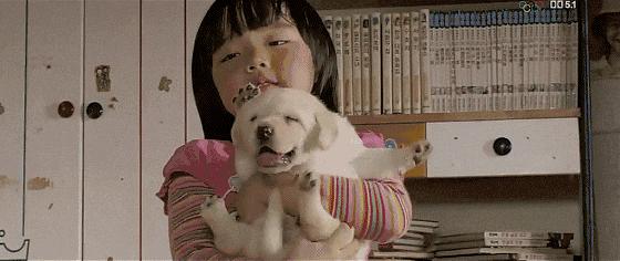 这些猫狗男女都爱看