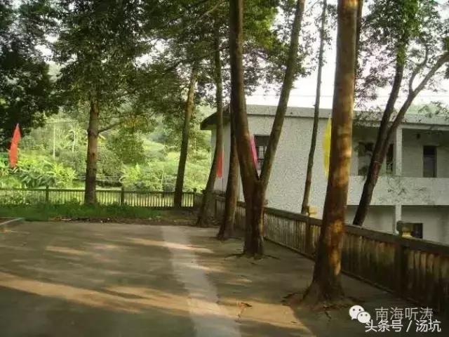 第二故乡乡愁,第二故乡情浓浓