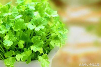 家居必备药物推荐排行榜,保命家居必备药