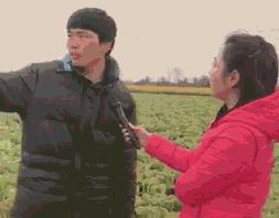 大学生返乡创业愁销路,大学生返乡创业帮农民致富增收