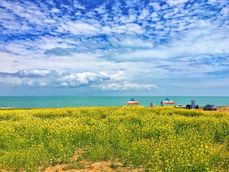 成都到青海湖最佳路线,成都去青海湖怎么去