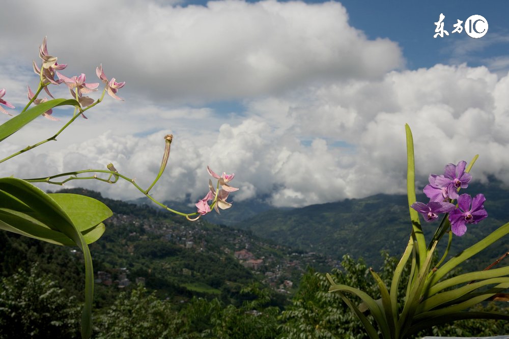 连载｜总裁商道：权力只能让人屈服，德行才能让人信服
