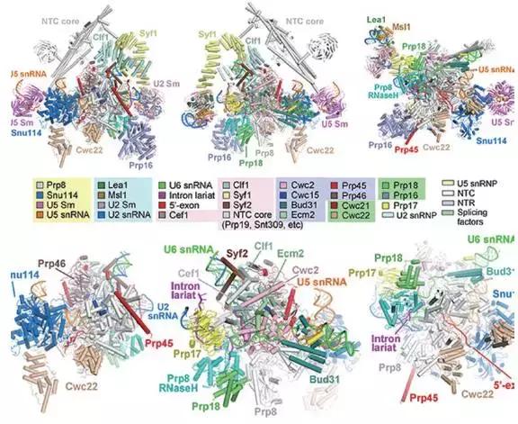 2022年中国重大科技盘点,2020年重大科学与工程
