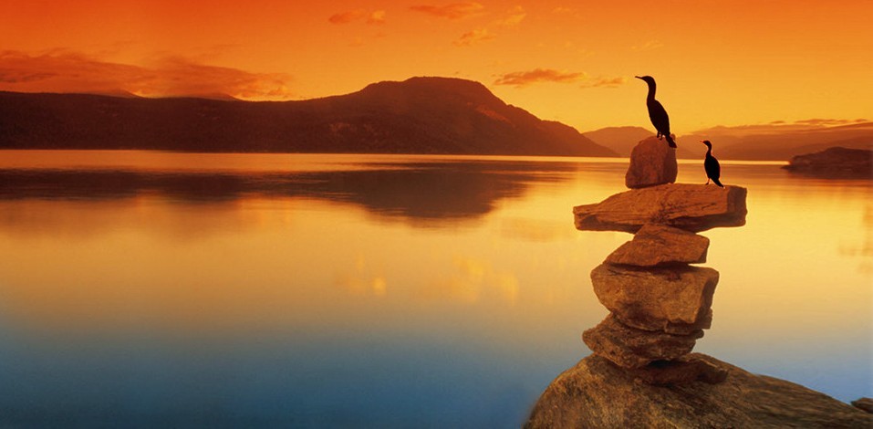 趣分享怎么赚钱,趣分享赚钱是真的吗