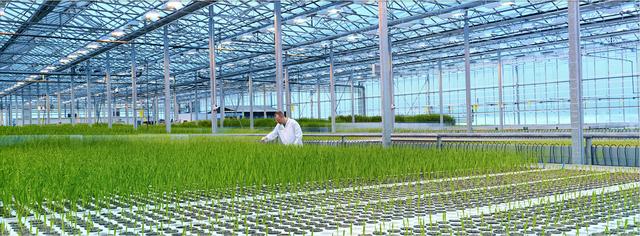 egf精华有什么功效,egf的护肤作用