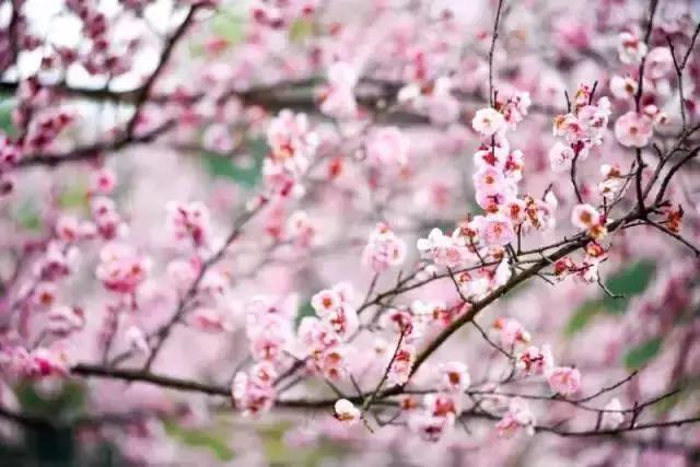 尖叫吧结局,尖叫吧完整版免费观看