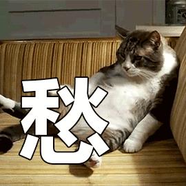 背爱马仕假包去专柜,爱马仕假包专柜