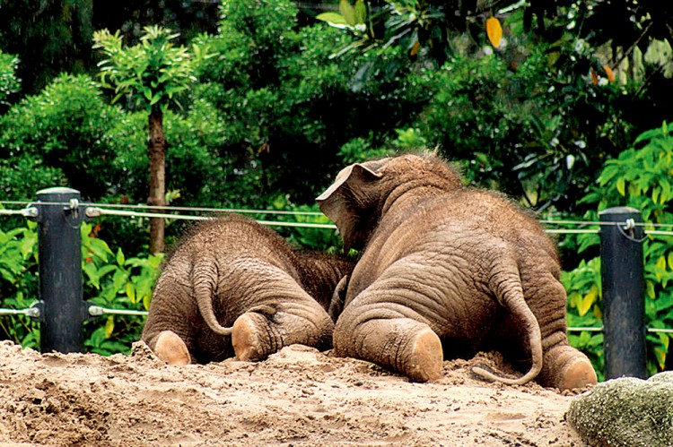 西双版纳3小时可以去哪,西双版纳五小时