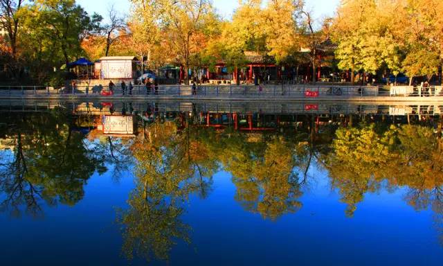 西安莲湖公园为啥叫莲湖公园,莲湖公园为什么叫莲湖公园