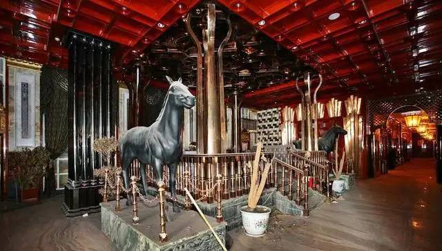 揭秘郑州皇家一号,郑州皇家一号覆灭纪实全集