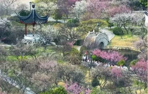 苏州园区赏梅攻略,何时去苏州赏梅最佳