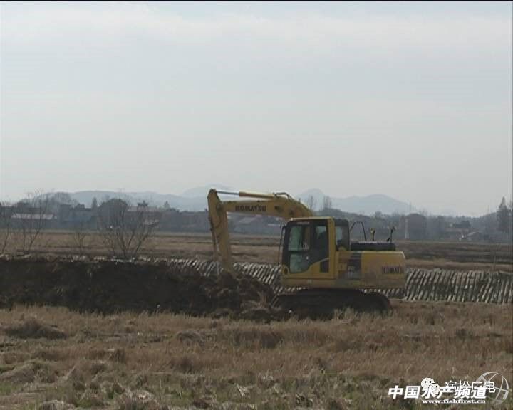 水蛭养殖季节,水蛭捕捞时间在几月份