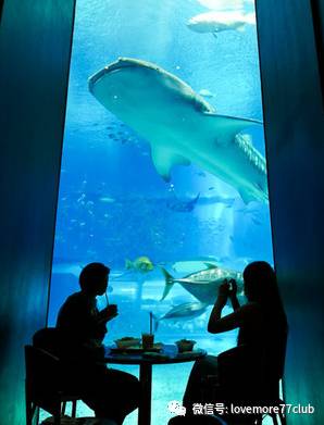 冲绳亲子自由行,成都冲绳亲子游攻略图