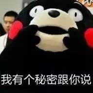 日照房产新政策最新消息,日照最新新闻