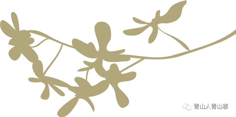 清除牛皮癣志愿者在行动意义何在,志愿者走进校园开展公益消杀