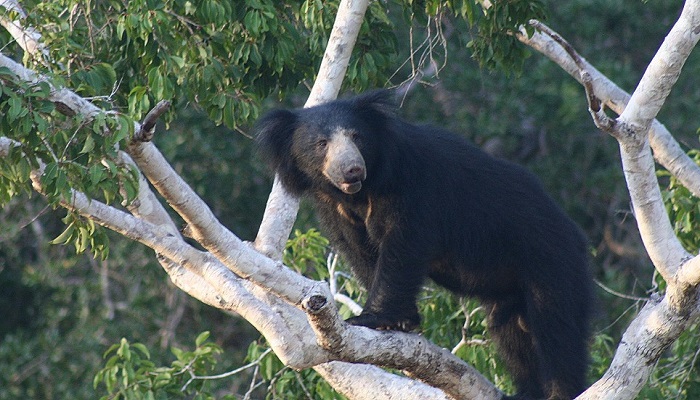 国内必去的10个旅行体验,国内一定要有的100个旅行体验