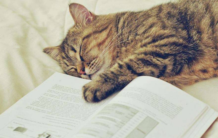 推荐｜为什么有的人玩命美白还是白不了？