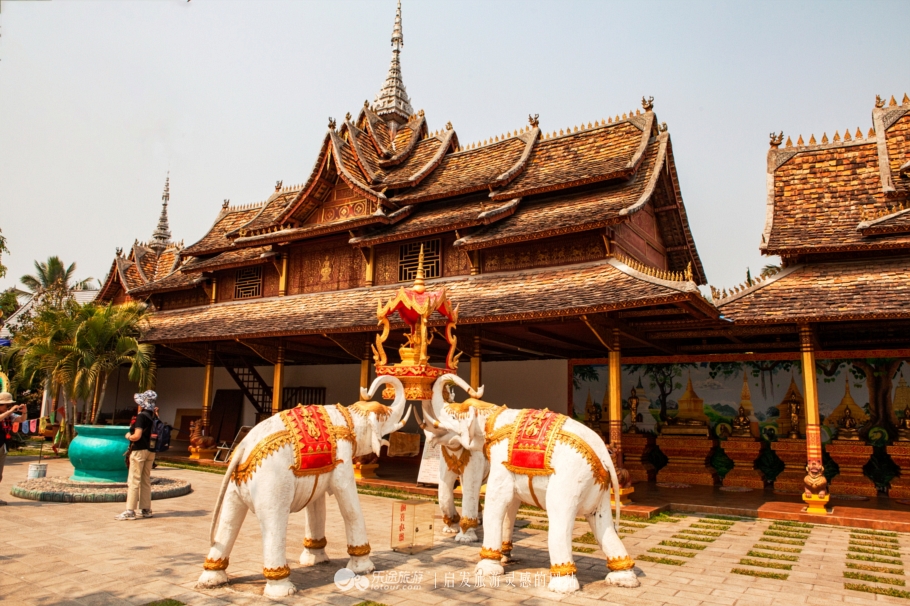 人生必须经历一次孤独的旅行,人生一定要去一次版纳