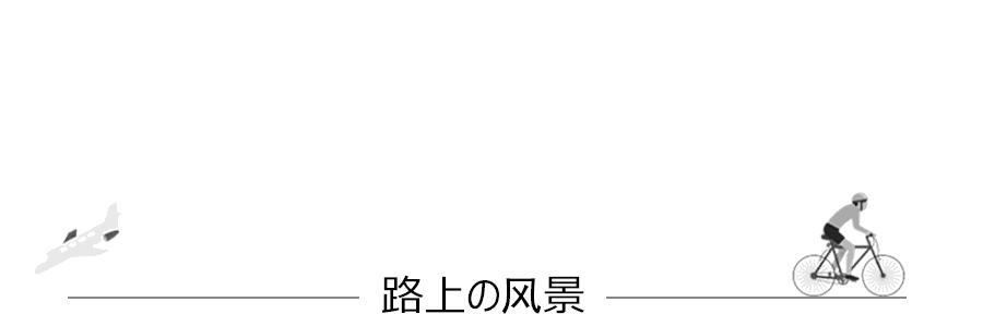 日本威士忌梅酒,日本的威士忌梅酒