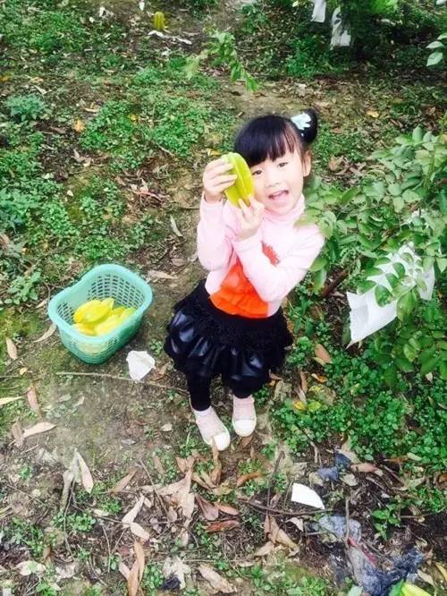 南宁适合春游前十个地方,南宁踏青去哪儿