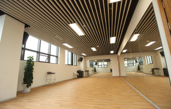 梦幻足球美少女组合,梦幻足球美少女