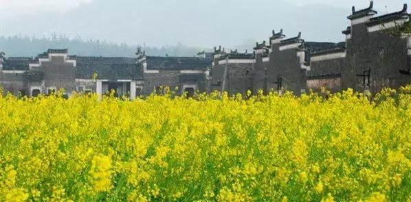 九江哪个区发展比较好,九江未来哪个县或区比较吃香