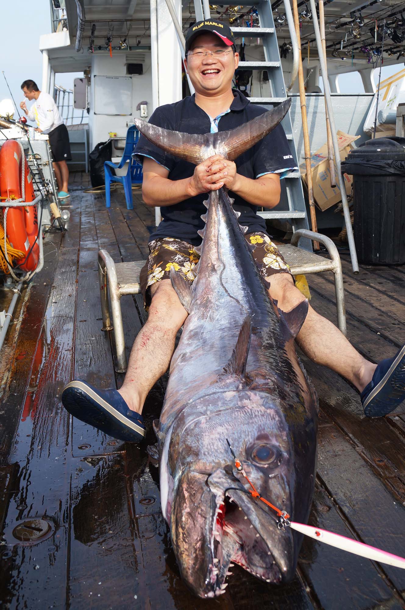 钓鱼有哪些肉食性鱼,海洋钓鱼常见鱼类