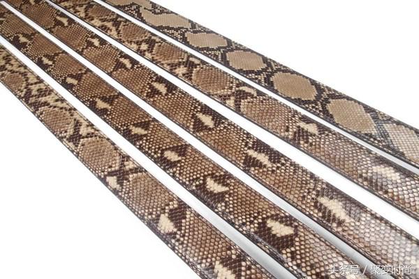 无与伦比皮肤,世界上最贵的蛇皮是什么蛇皮