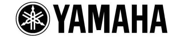 放眼四面八荒，玩跨界，舅服你——YAMAHA！