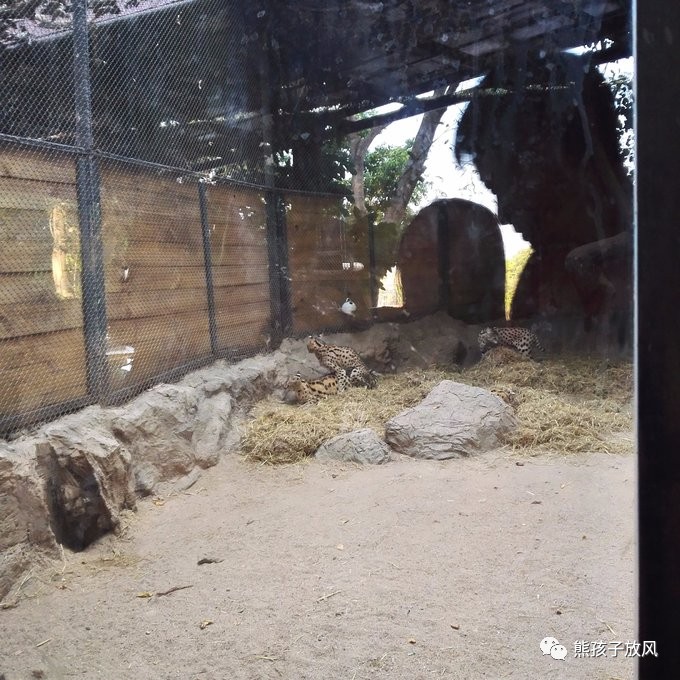 能在异国被警察抓也没谁了吧？这是我的清迈，和你去的不一样！