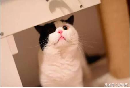 钢材销售员的一天，简直太形象了！笑喷……