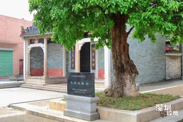 深圳又热了,深圳现在很热了吗