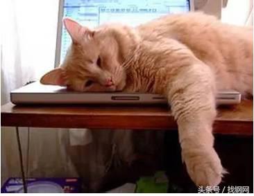 钢材销售员的一天，简直太形象了！笑喷……