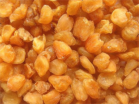 孕期知识大全及注意事项书,孕期检查项目时间表注意事项