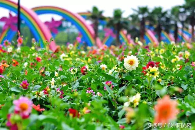 鏌冲窞鍗佷釜鍊煎緱鍘荤殑鍦版柟,娌绘剤鎶戦儊鐥囩殑鏃呮父鑳滃湴