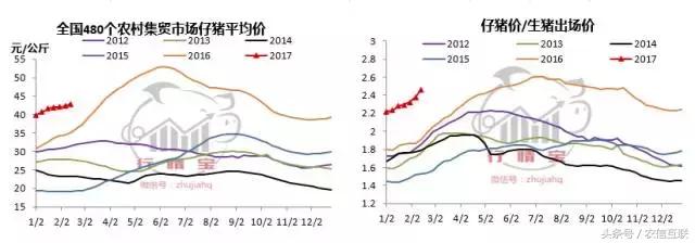市场目前猪价,进口猪肉受限猪价会涨吗