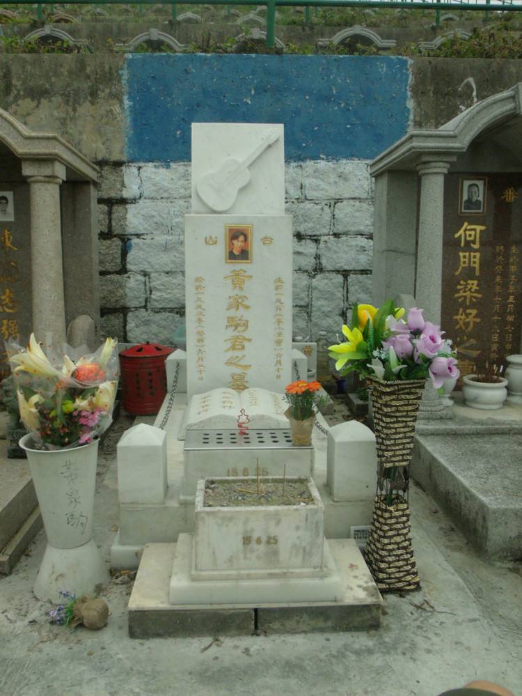 一个摇滚歌手的独白,摇滚歌手黄家驹简介