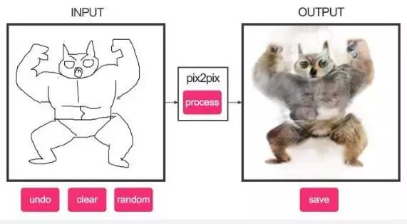 年轻人,想不想亲自去拍个猫片呀!