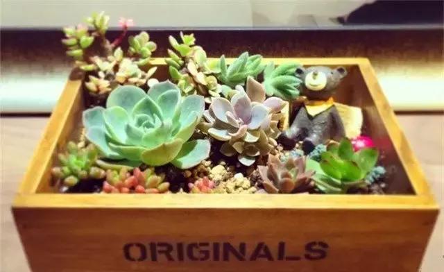 合肥DIY店有吗,一家有创意的手工店合肥