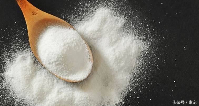 一下雨狗就害怕,下雨天狗狗太臭怎么办啊