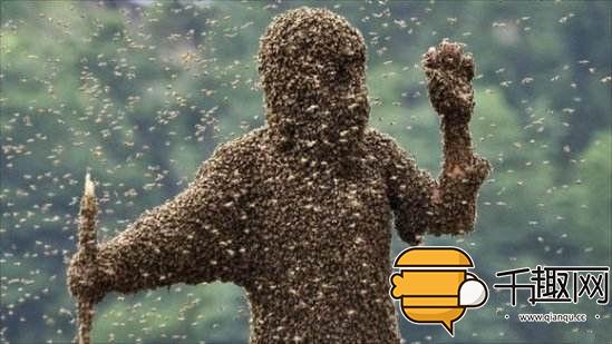 世界上最搞笑的比赛,世界上最搞笑的奇葩挑战赛